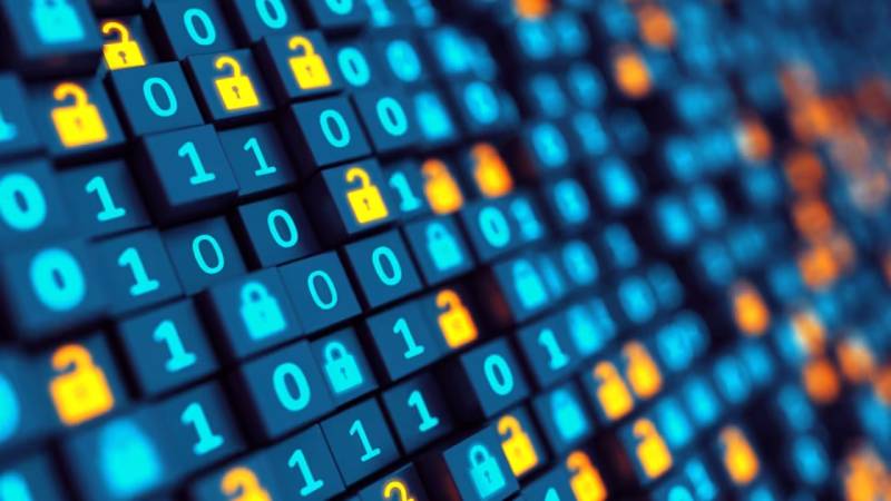 泉港区软件开发:以硬核实力,筑工业数字基石
